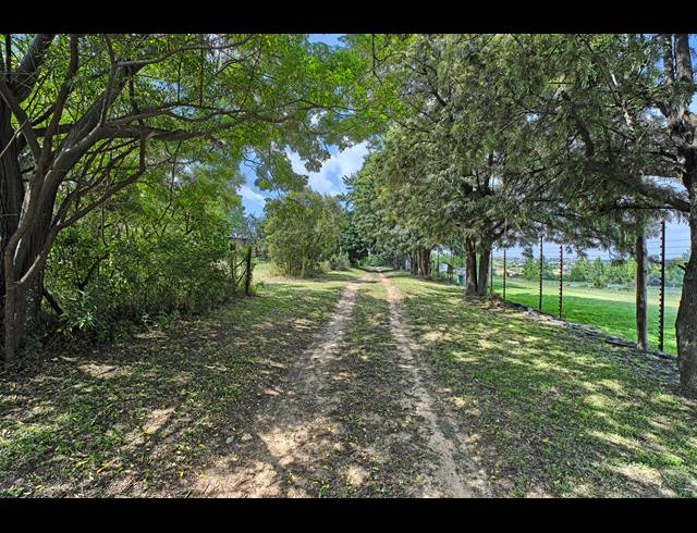 4 BEDROOM EQUESTRIAN PROPERTY FOR SALE IN SUN VALLEY